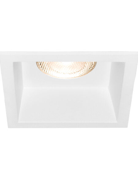BRY-TETRA-CF-SQR-WHT-SPOTLIGHT