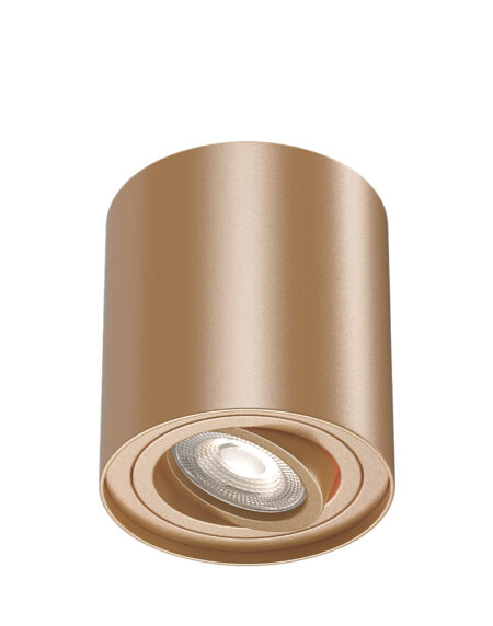 BRY-GAMA-8010-RND-GLD-GU10-SPOTLIGHT