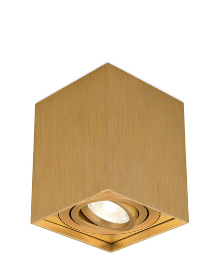 BRY-GAMA-8010-SQR-GLD-GU10-SPOTLIGHT