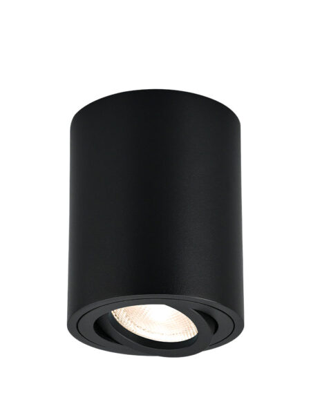 BRY-GAMA-8010-RND-BLC-GU10-SPOTLIGHT