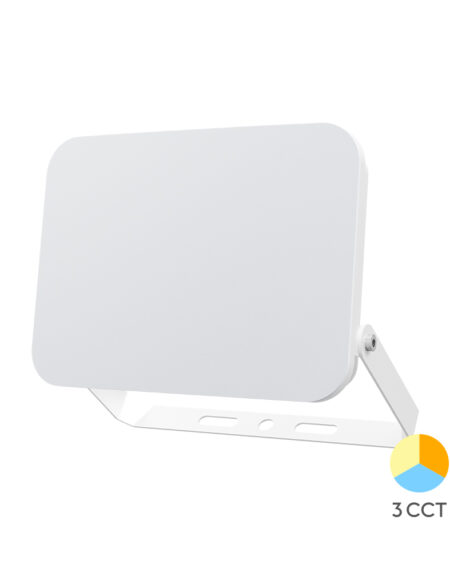 BRY-FLOOD-WF-30W-WHT-3IN1-IP65-LED FLOODLIGHT