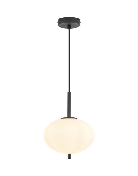 BRY-S011R-1H-E14-OPL-BLC-PENDANT LIGHT