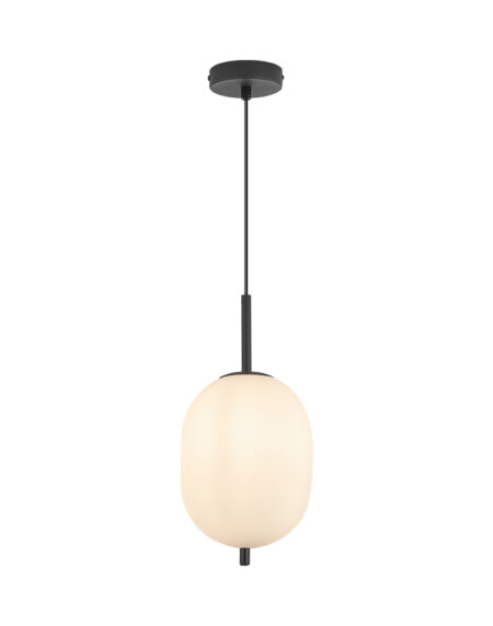 BRY-S011R-1H-E14-OPL-BLC-PENDANT LIGHT