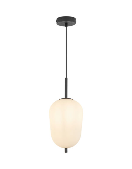 BRY-S011R-1H-E14-OPL-BLC-PENDANT LIGHT