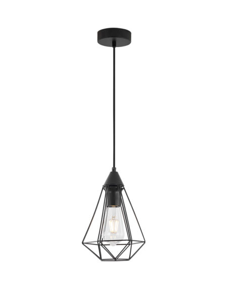 BRY-W003R-1H-E27-BLC-PENDANT LIGHT