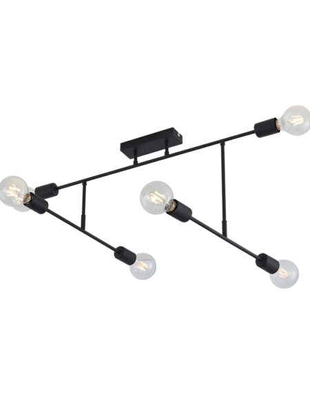 BRY-G004C-6H-E27-BLC-CEILING LIGHT