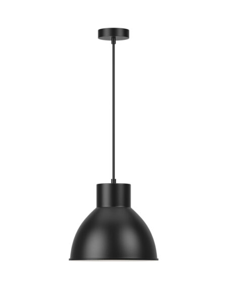 BRY-P008R-1H-E27-BLC-PENDANT LIGHT