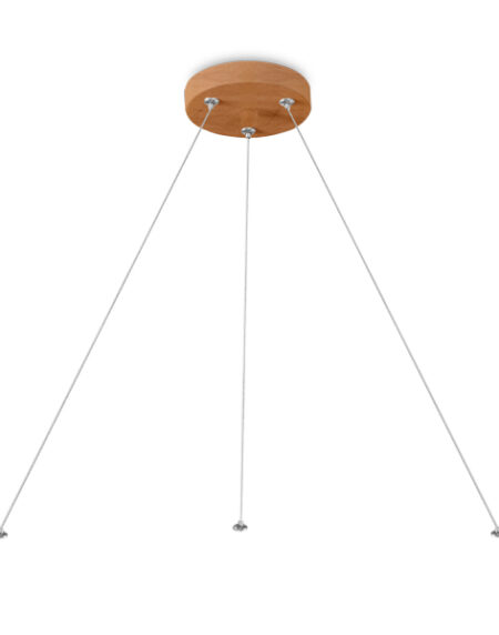BRY- PENDANT KIT-BLADE-SR-400/500-WDN