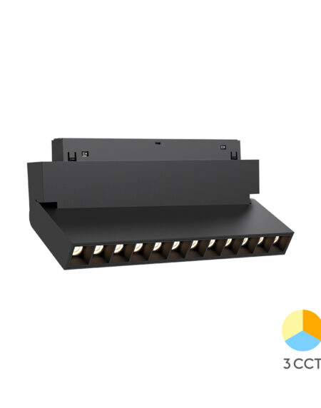 BRY-WSL250-12W-48VDC-3IN1-BLC-MAG. LINEAR
