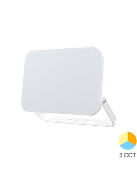 BRY-FLOOD-WF-10W-WHT-3IN1-IP65-LED FLOODLIGHT