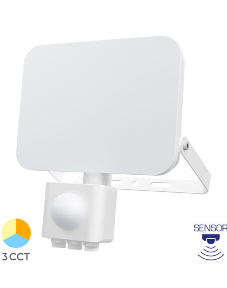 BRY-FLOOD-WF-30W-WHT-3IN1-SNS-IP54-LED FLOODLIGHT