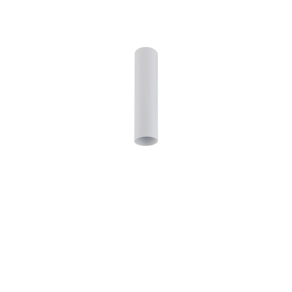 FOURTY S WHITE