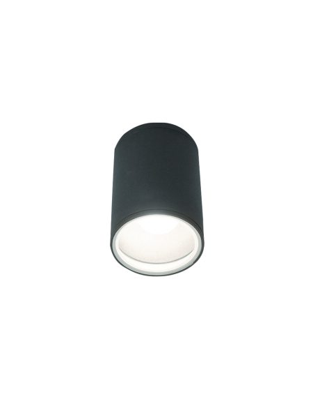 FOG I ceiling