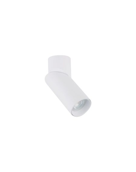 Spot lampa INDIA WH CG