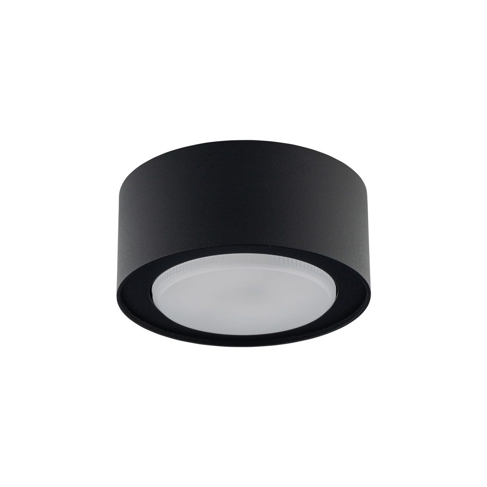 Spot lampa FLEA BLACK