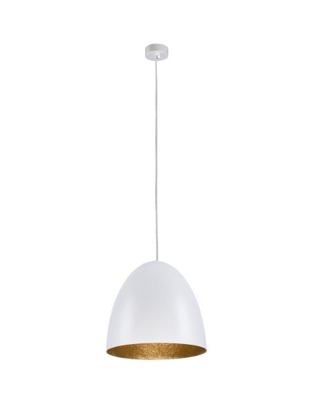 EGG WHITE M