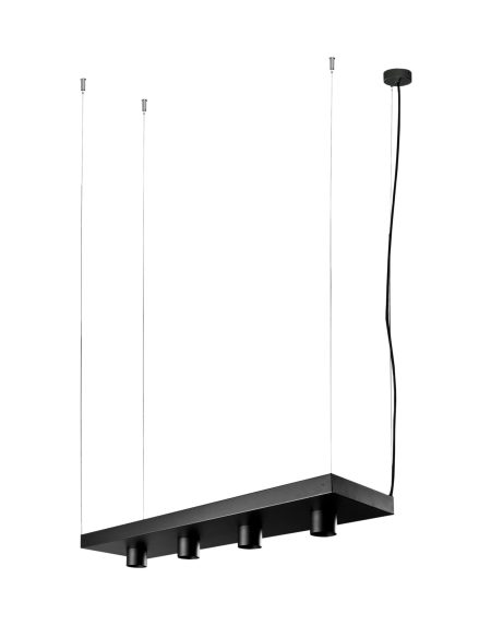 PLANT BLACK