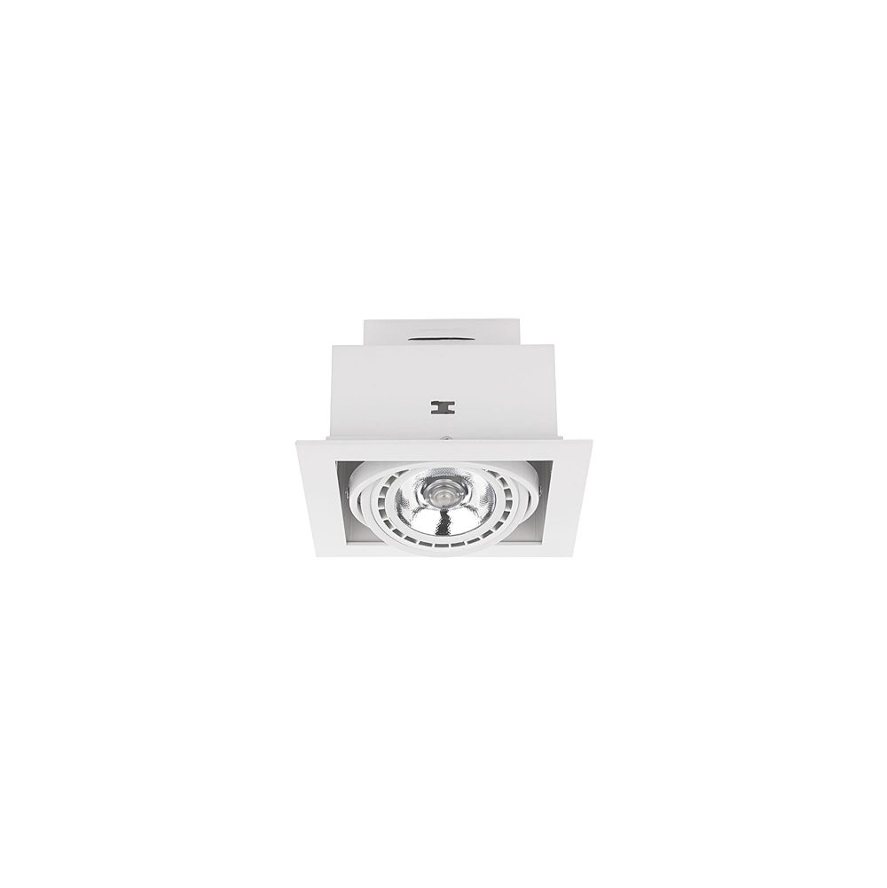 Spot lampa DOWNLIGHT WHITE I ES 111