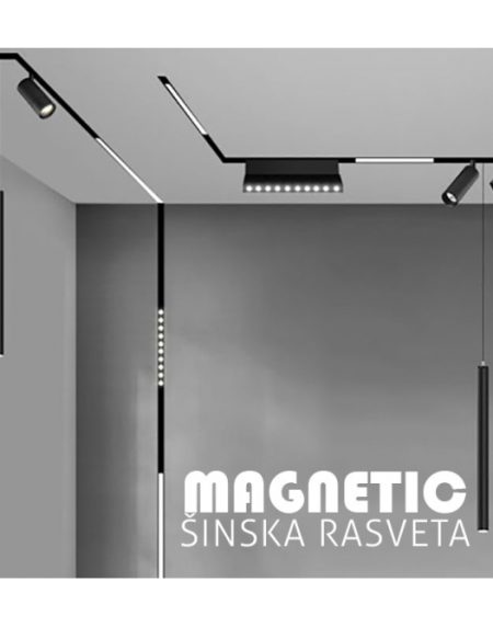 MAGNETIC KONTROLA